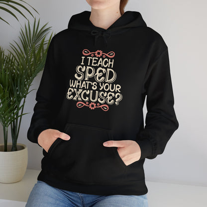 Preschool Teacher Hoodie - "I Teach SPED - What's Your Excuse"