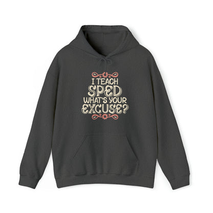 Special Ed Teacher Hoodie - "I Teach SPED - What's Your Excuse"